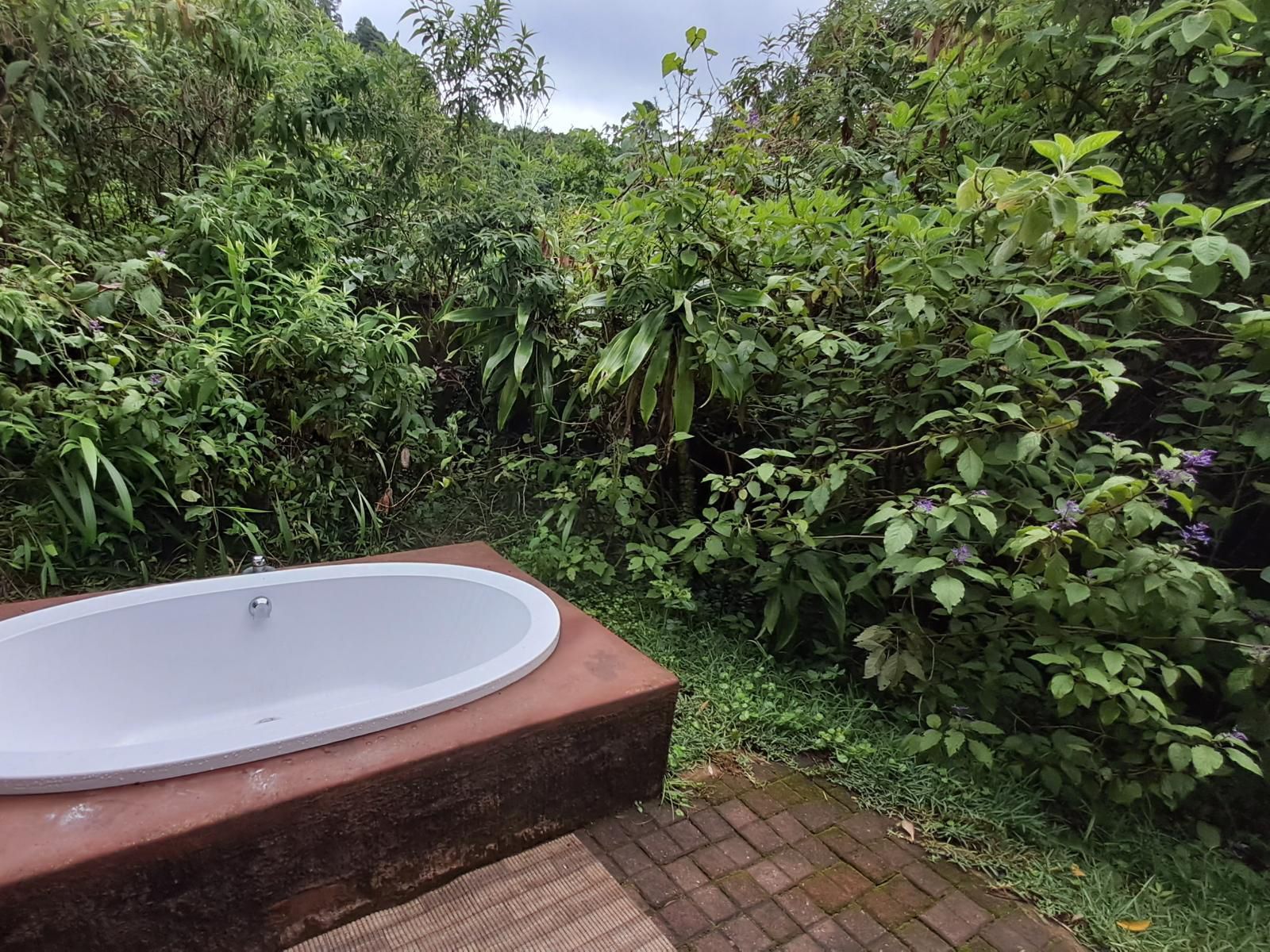 Magoebaskloof Birders Cottages Magoebaskloof Limpopo Province South Africa Bathroom, Swimming Pool