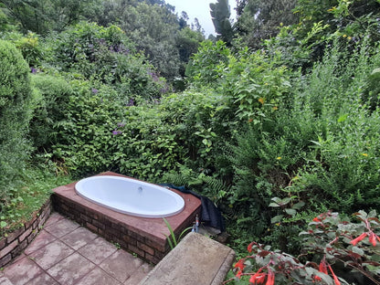 Magoebaskloof Birders Cottages Magoebaskloof Limpopo Province South Africa Bathroom, Garden, Nature, Plant, Swimming Pool