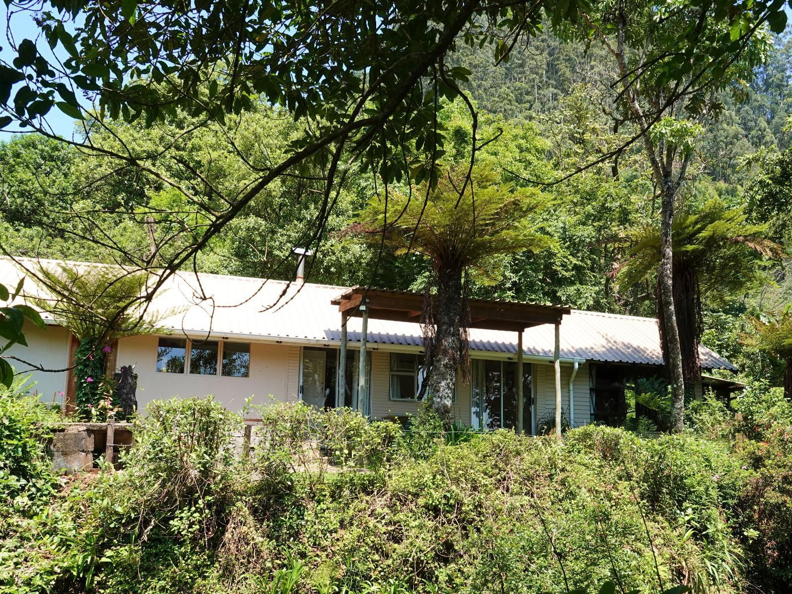 Magoebaskloof Birders Cottages Magoebaskloof Limpopo Province South Africa Building, Architecture, Forest, Nature, Plant, Tree, Wood, House