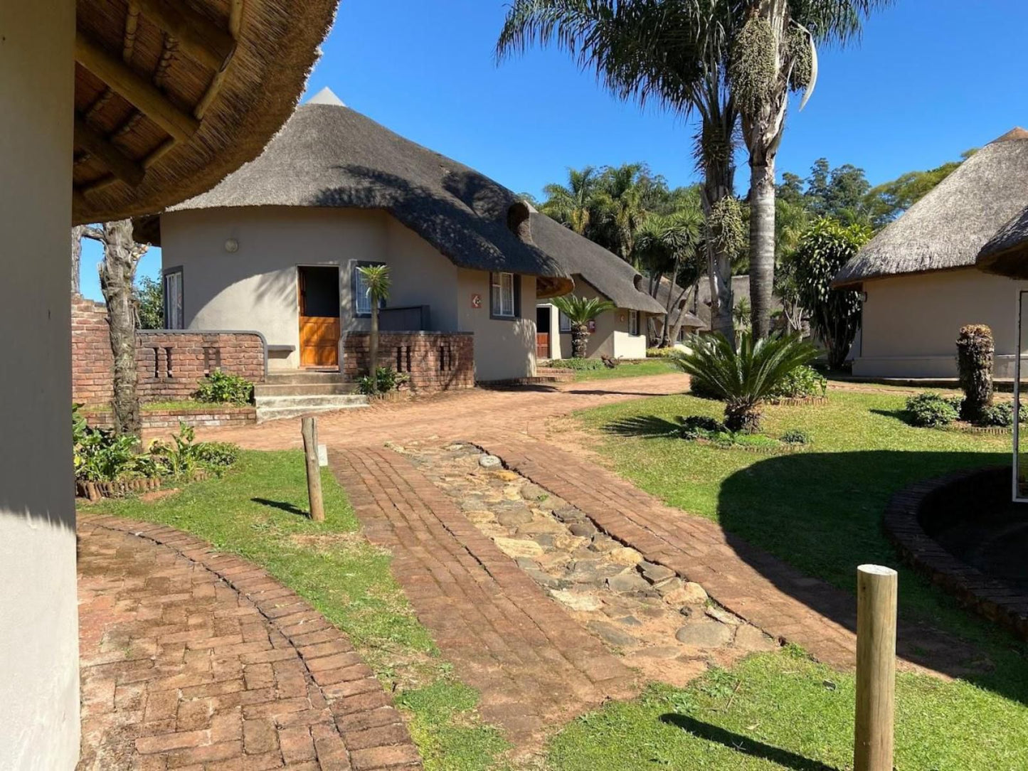 Magoebaskloof Mountain Lodge, House, Building, Architecture, Palm Tree, Plant, Nature, Wood, Garden