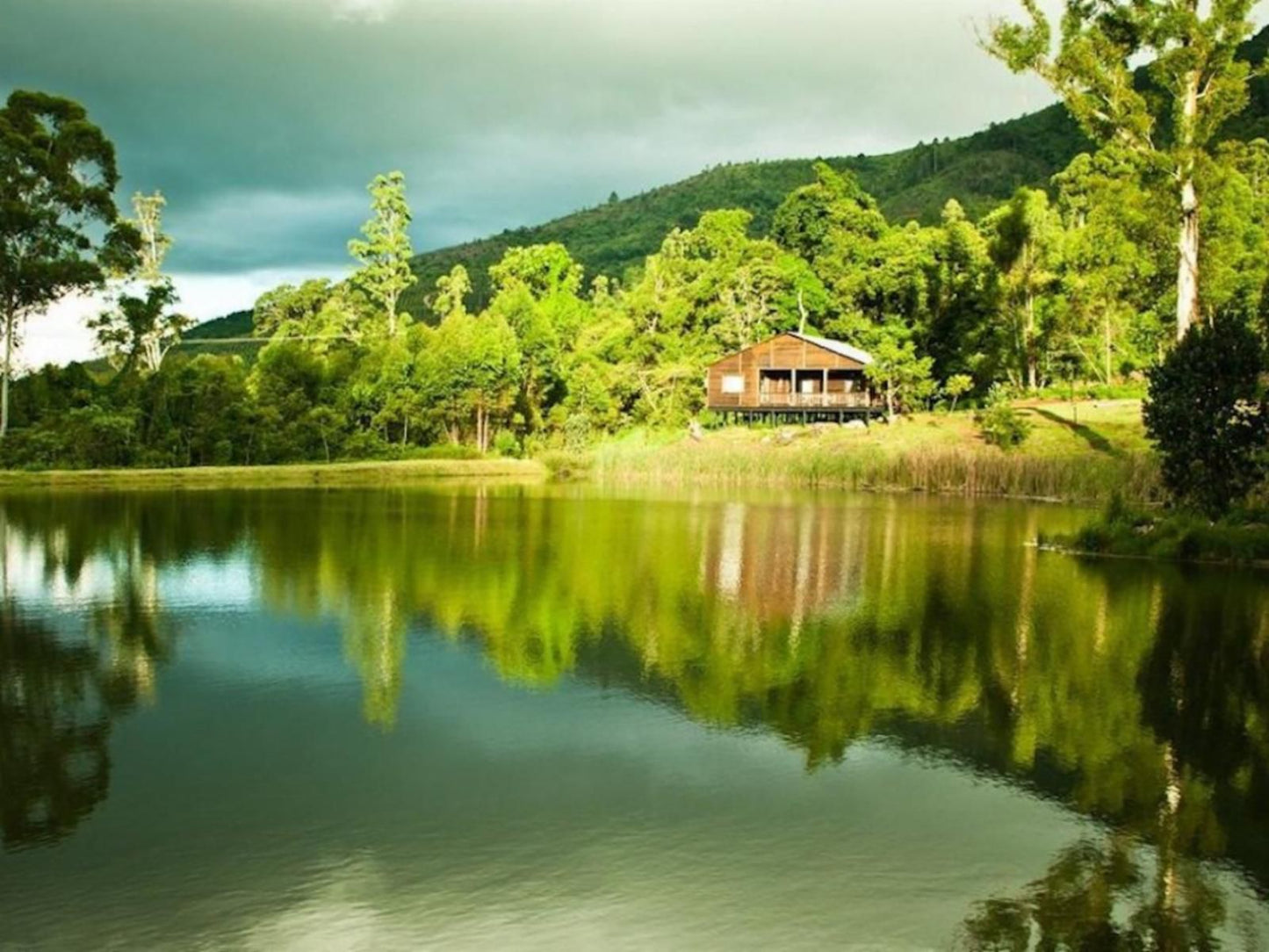 Magoebaskloof Getaway Haenertsburg Limpopo Province South Africa Highland, Nature