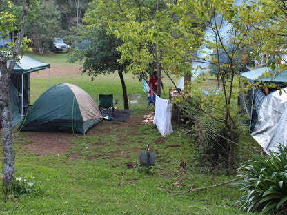 Magoebaskloof Camping Sites Magoebaskloof Limpopo Province South Africa Tent, Architecture, Tree, Plant, Nature, Wood