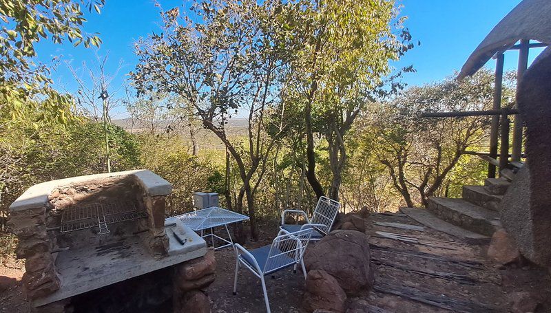 Mahala View Dinokeng Game Reserve Gauteng South Africa Cactus, Plant, Nature