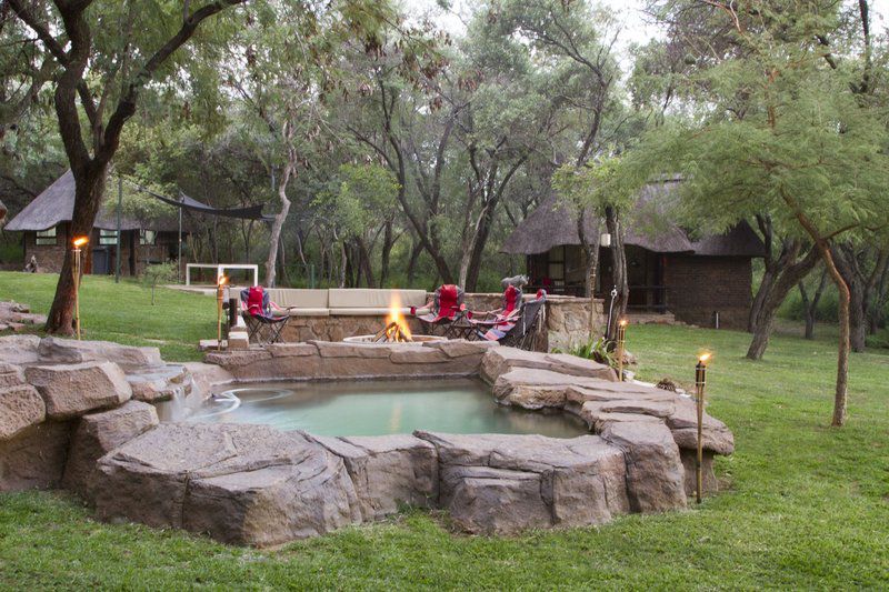 Ukuta Private Game Reserve Vaalwater Limpopo Province South Africa Garden, Nature, Plant, Swimming Pool