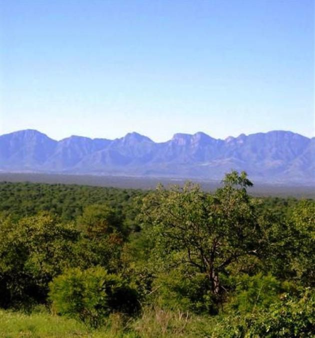 Mahlahla Game Lodge Karongwe Private Game Reserve Limpopo Province South Africa Complementary Colors, Colorful, Nature