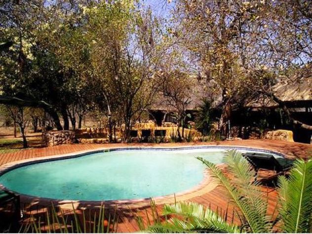 Mahlahla Game Lodge Karongwe Private Game Reserve Limpopo Province South Africa Garden, Nature, Plant, Swimming Pool