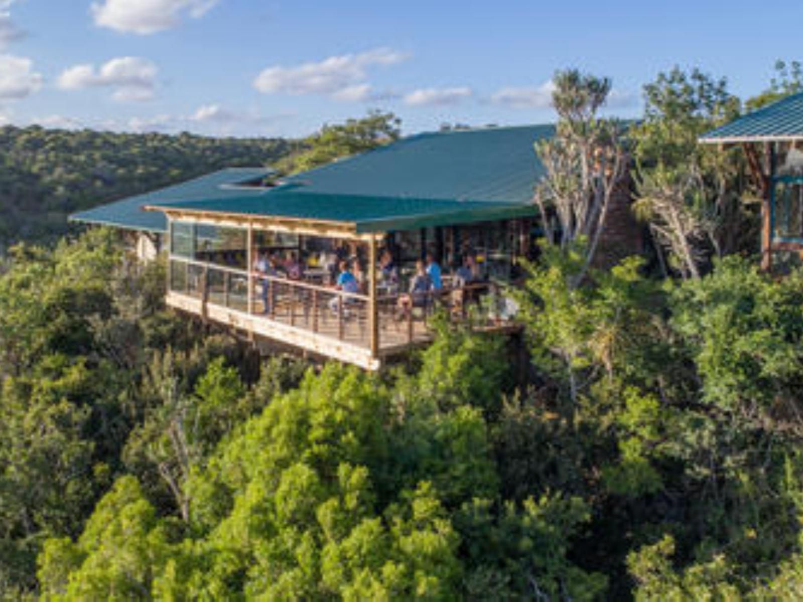 Kariega Game Reserve Main Lodge Kenton On Sea Eastern Cape South Africa Complementary Colors