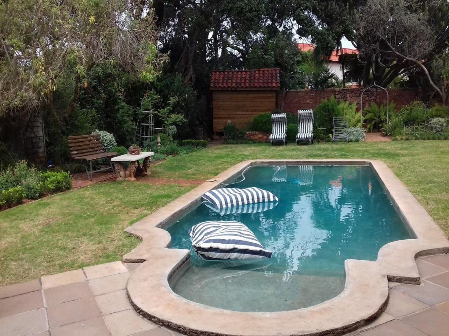 Maison H Guest House Umhlanga Rocks Umhlanga Kwazulu Natal South Africa Garden, Nature, Plant, Swimming Pool