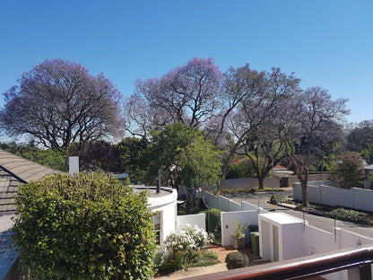 Maison Jacaranda Parkview Johannesburg Gauteng South Africa Blossom, Plant, Nature, House, Building, Architecture, Garden