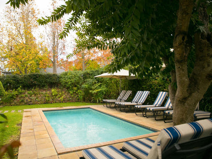 Maison Chablis Guest House Franschhoek Western Cape South Africa Garden, Nature, Plant, Swimming Pool