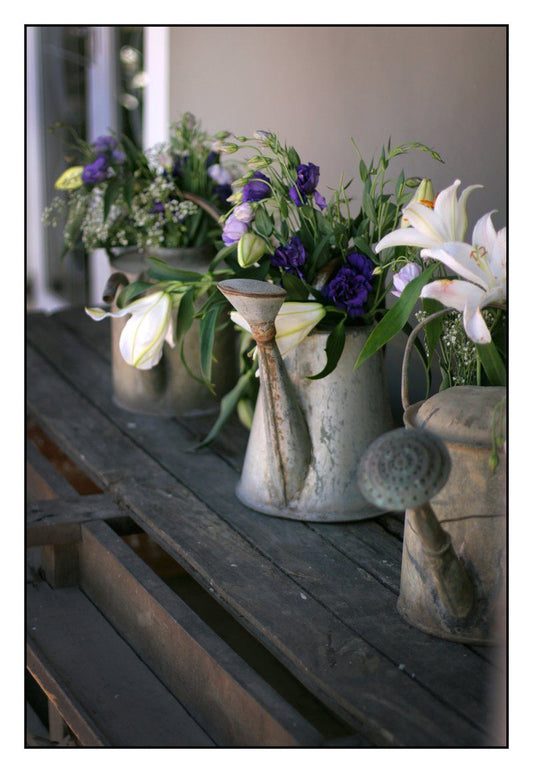 Maison De L Amour Darling Western Cape South Africa Unsaturated, Bouquet Of Flowers, Flower, Plant, Nature