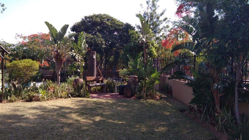 Majaneng Guesthouse Bela Bela Warmbaths Limpopo Province South Africa Palm Tree, Plant, Nature, Wood, Garden