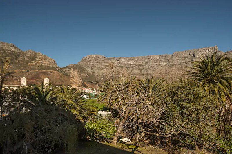 Majestic Mountain Views Vredehoek Cape Town Western Cape South Africa Complementary Colors, Nature