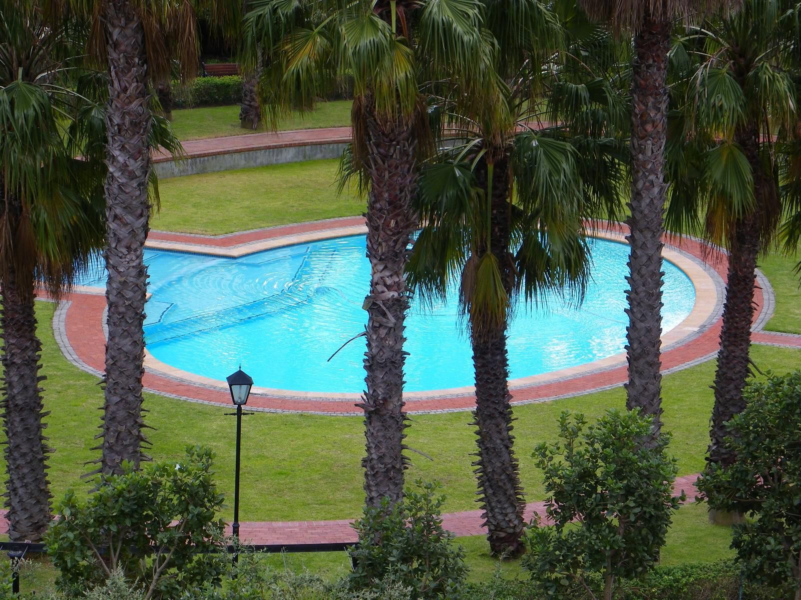 Majorca Self Catering Apartments Century City Cape Town Western Cape South Africa Palm Tree, Plant, Nature, Wood, Swimming Pool