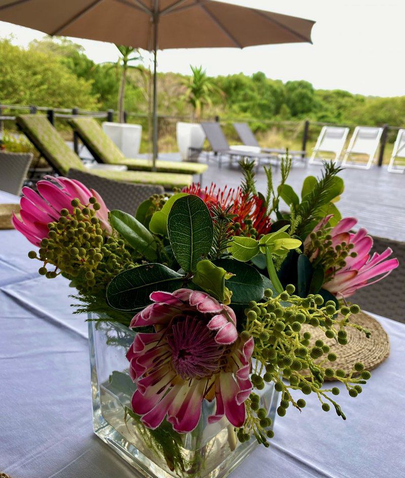 Makakatana Bay Lodge St Lucia Kwazulu Natal South Africa Bouquet Of Flowers, Flower, Plant, Nature, Place Cover, Food