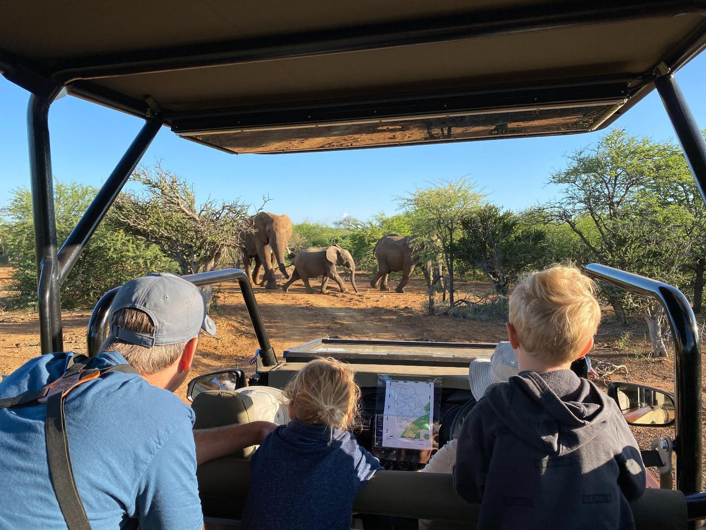 Makanyane Lodge, Elephant, Mammal, Animal, Herbivore, Person