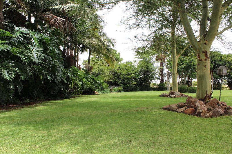 Makarios Lodge And Wedding Facility Polokwane Pietersburg Limpopo Province South Africa Palm Tree, Plant, Nature, Wood, Garden