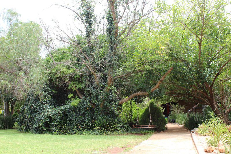 Makarios Lodge And Wedding Facility Polokwane Pietersburg Limpopo Province South Africa Plant, Nature, Tree, Wood, Garden