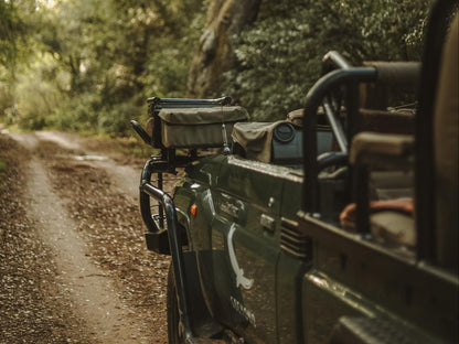 Makhasa Private Game Lodge, Sepia Tones, Forest, Nature, Plant, Tree, Wood, Vehicle