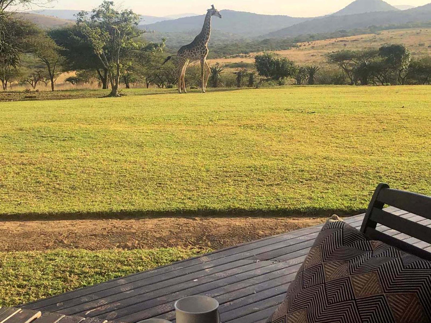 Giraffe Room @ Makongo Hills