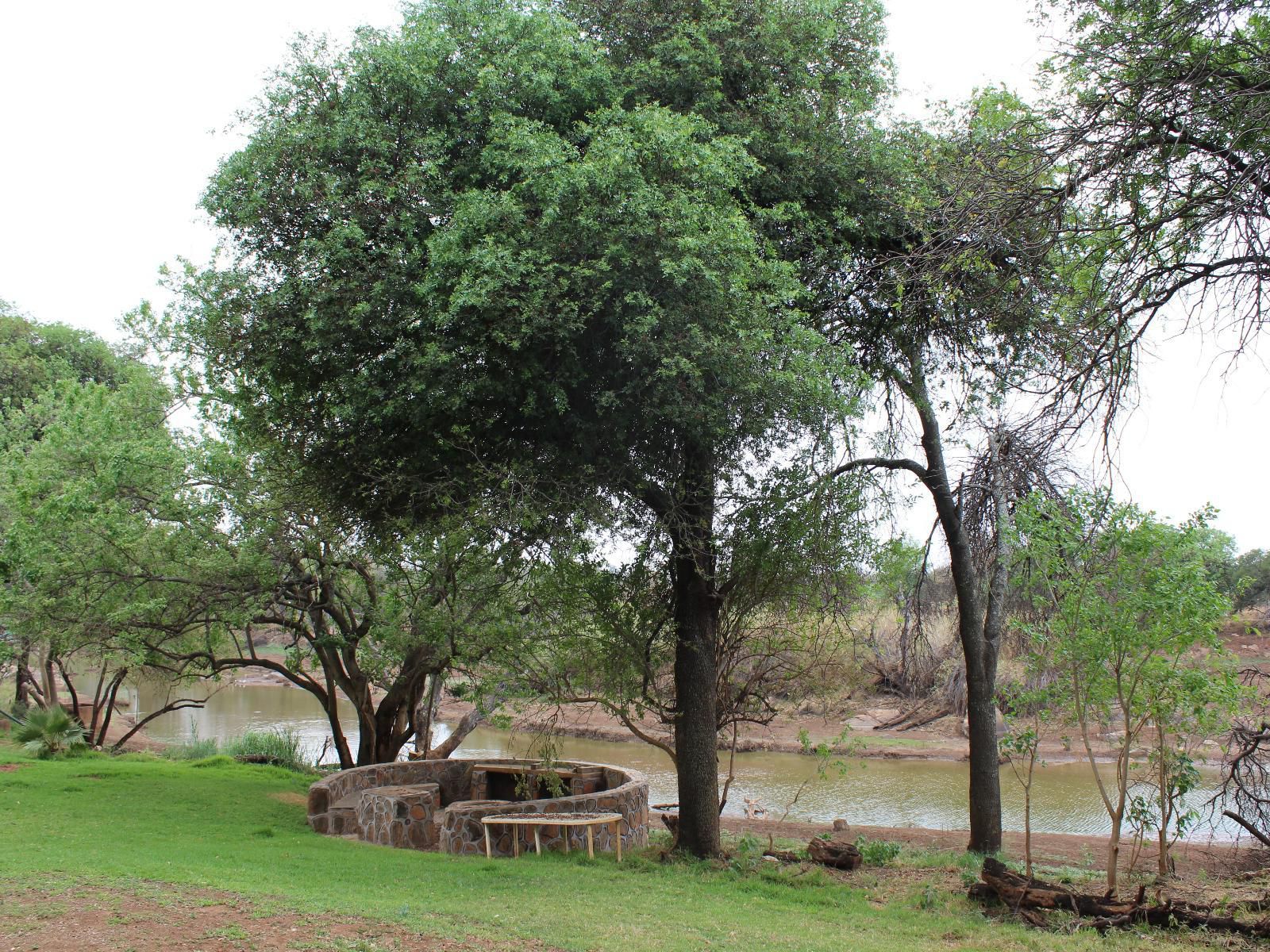 Makoppas Nest River Lodge, River, Nature, Waters, Tree, Plant, Wood