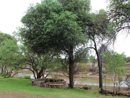 Makoppas Nest River Lodge, River, Nature, Waters, Tree, Plant, Wood