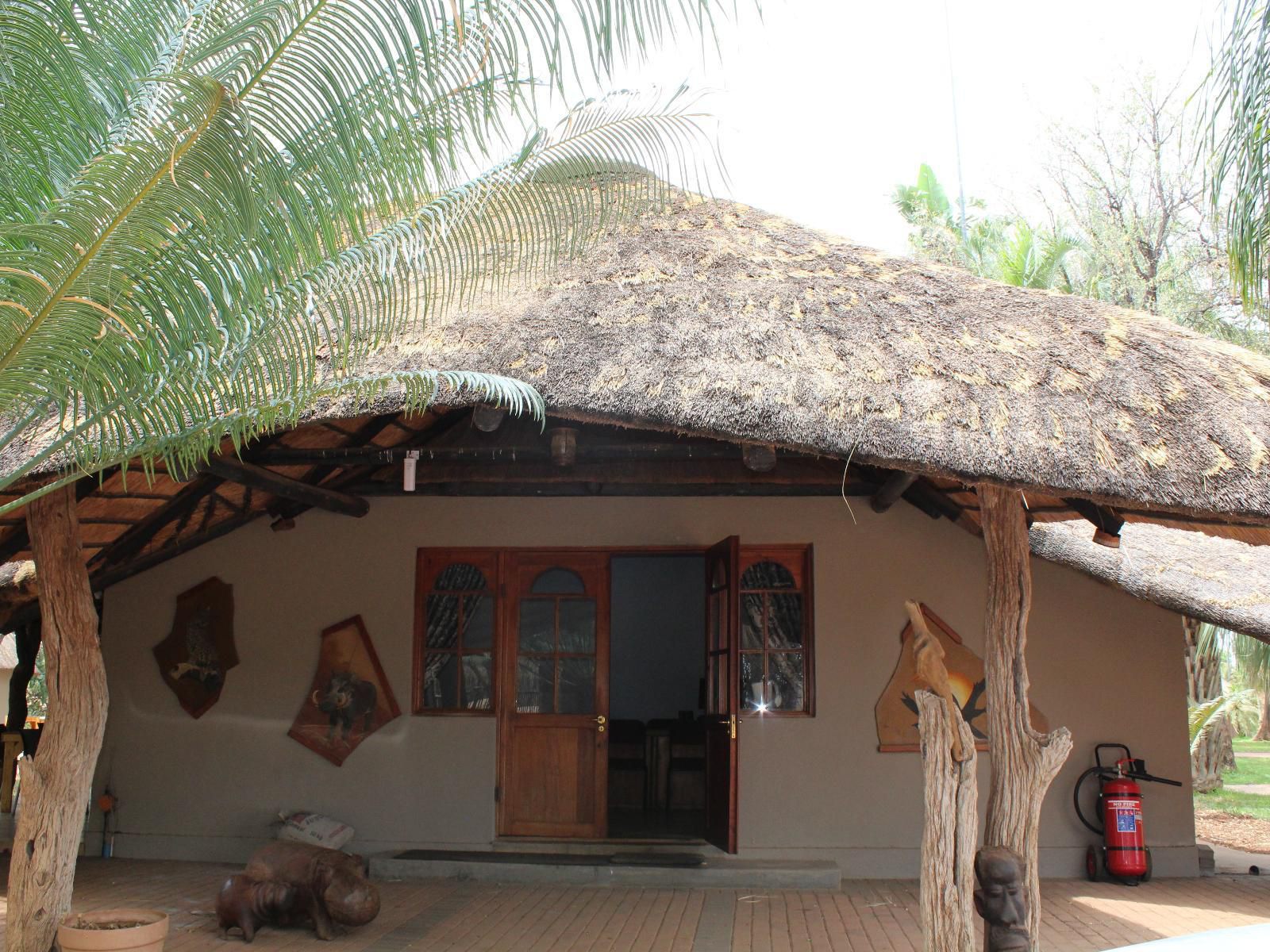 Makoppas Nest River Lodge, Palm Tree, Plant, Nature, Wood, Reptile, Animal