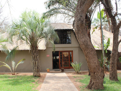 Makoppas Nest River Lodge, House, Building, Architecture, Palm Tree, Plant, Nature, Wood