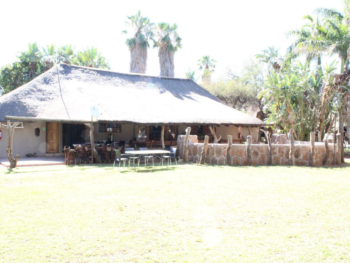 Makoppas Nest River Lodge, Bright, Palm Tree, Plant, Nature, Wood