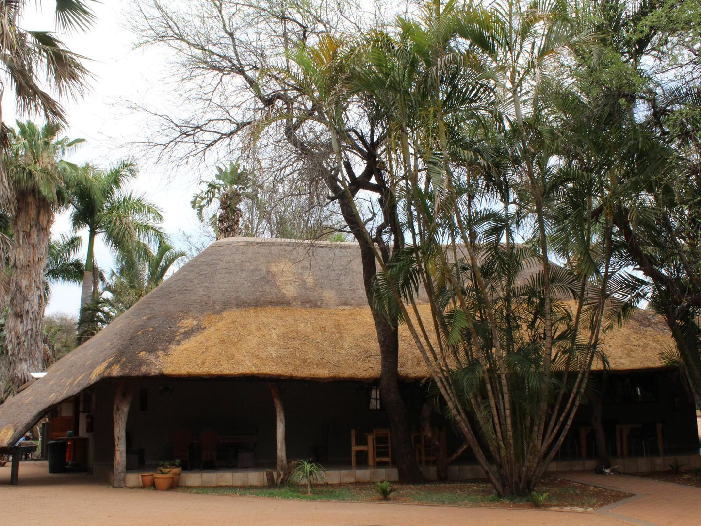 Makoppas Nest River Lodge, Building, Architecture