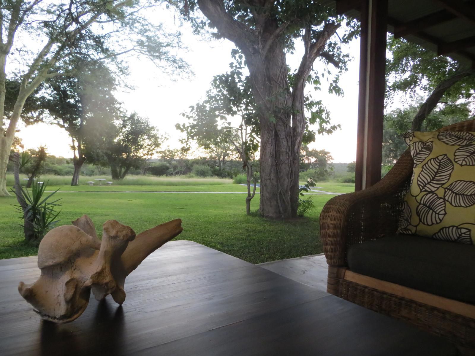 Makuwa Safari Lodge Thornybush Game Reserve Mpumalanga South Africa 