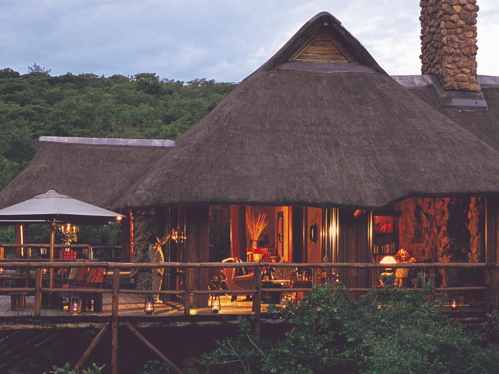 Makweti Safari Lodge Welgevonden Game Reserve Limpopo Province South Africa Bar