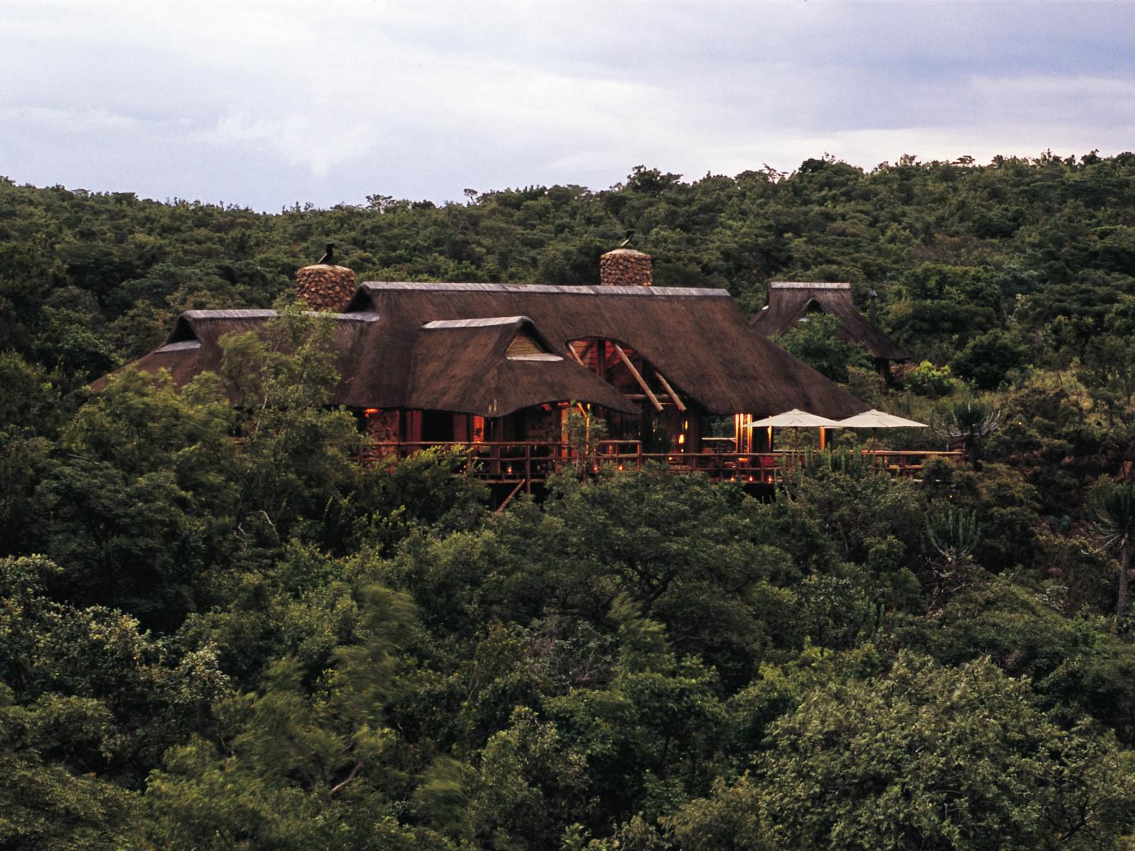 Makweti Safari Lodge Welgevonden Game Reserve Limpopo Province South Africa 