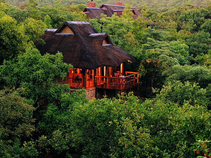 Suite without Pool @ Makweti Safari Lodge