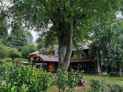 Malachite Manor Underberg Kwazulu Natal South Africa Building, Architecture, Tree, Plant, Nature, Wood