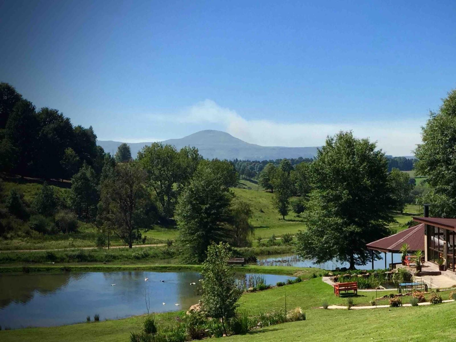 Malachite Manor Underberg Kwazulu Natal South Africa Complementary Colors, Mountain, Nature, Volcano, Highland