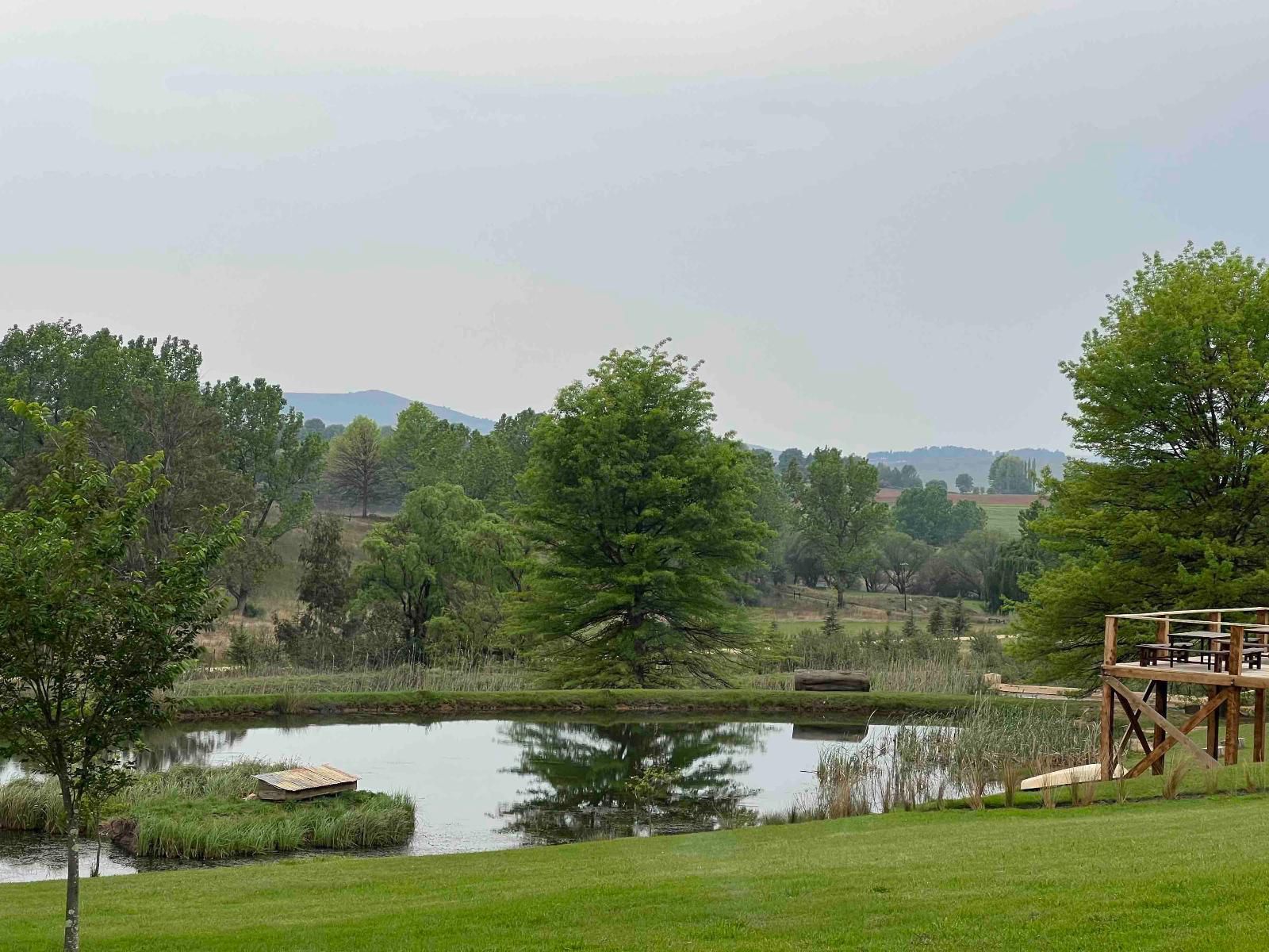 Malachite Manor Underberg Kwazulu Natal South Africa River, Nature, Waters, Tree, Plant, Wood