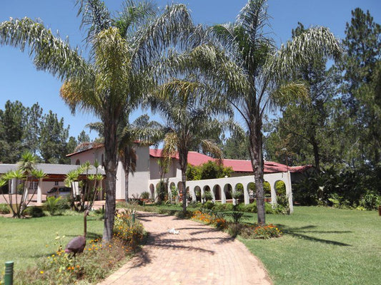 Malachite Guest House Glen Austin Johannesburg Gauteng South Africa House, Building, Architecture, Palm Tree, Plant, Nature, Wood