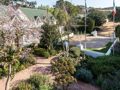 Malagas Hotel, Plant, Nature, Rose, Flower, Garden