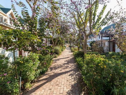 Malagas Hotel, Blossom, Plant, Nature, House, Building, Architecture, Garden