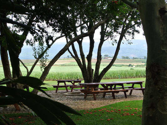 Malandela'S Guest House, Field, Nature, Agriculture