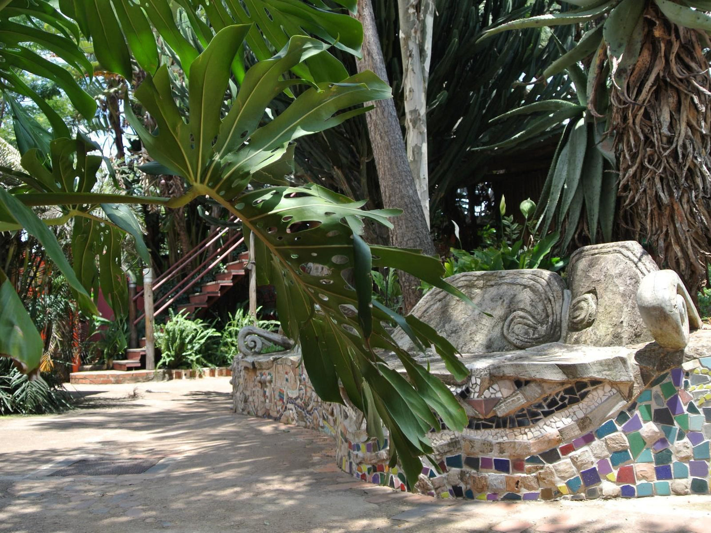 Malandela'S Guest House, Palm Tree, Plant, Nature, Wood, Reptile, Animal, Garden