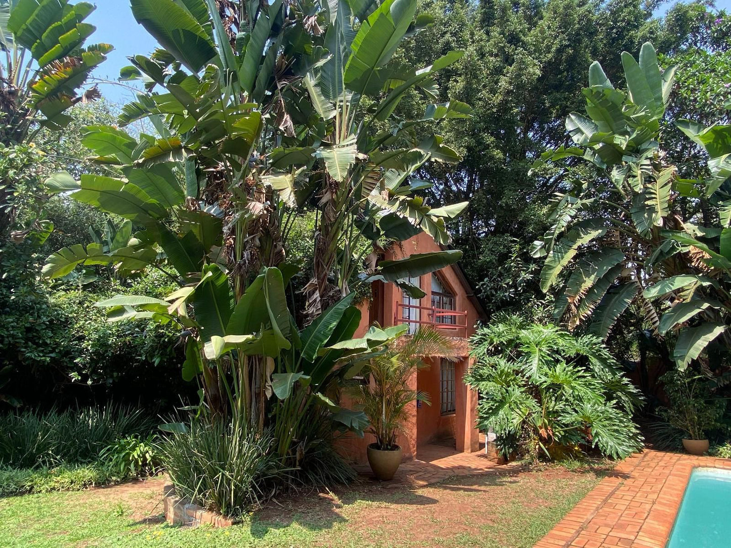 Malandela'S Guest House, House, Building, Architecture, Palm Tree, Plant, Nature, Wood, Garden