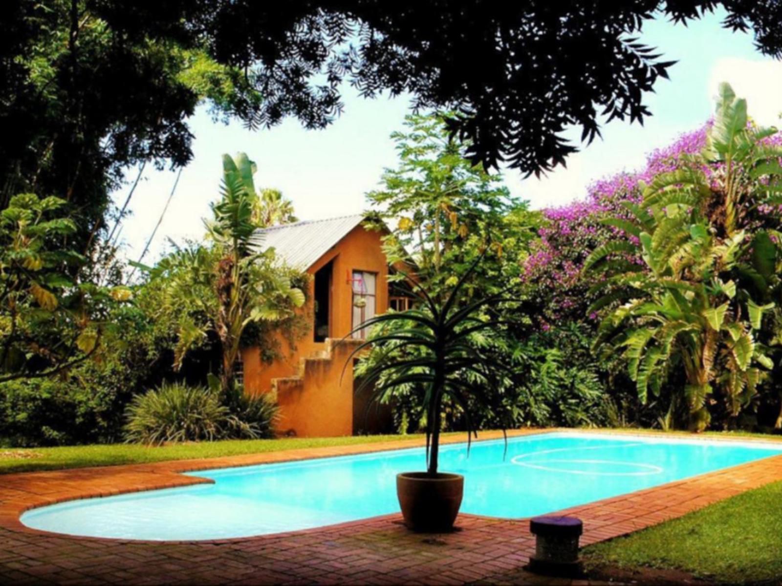 Malandela'S Guest House, House, Building, Architecture, Palm Tree, Plant, Nature, Wood, Garden, Swimming Pool