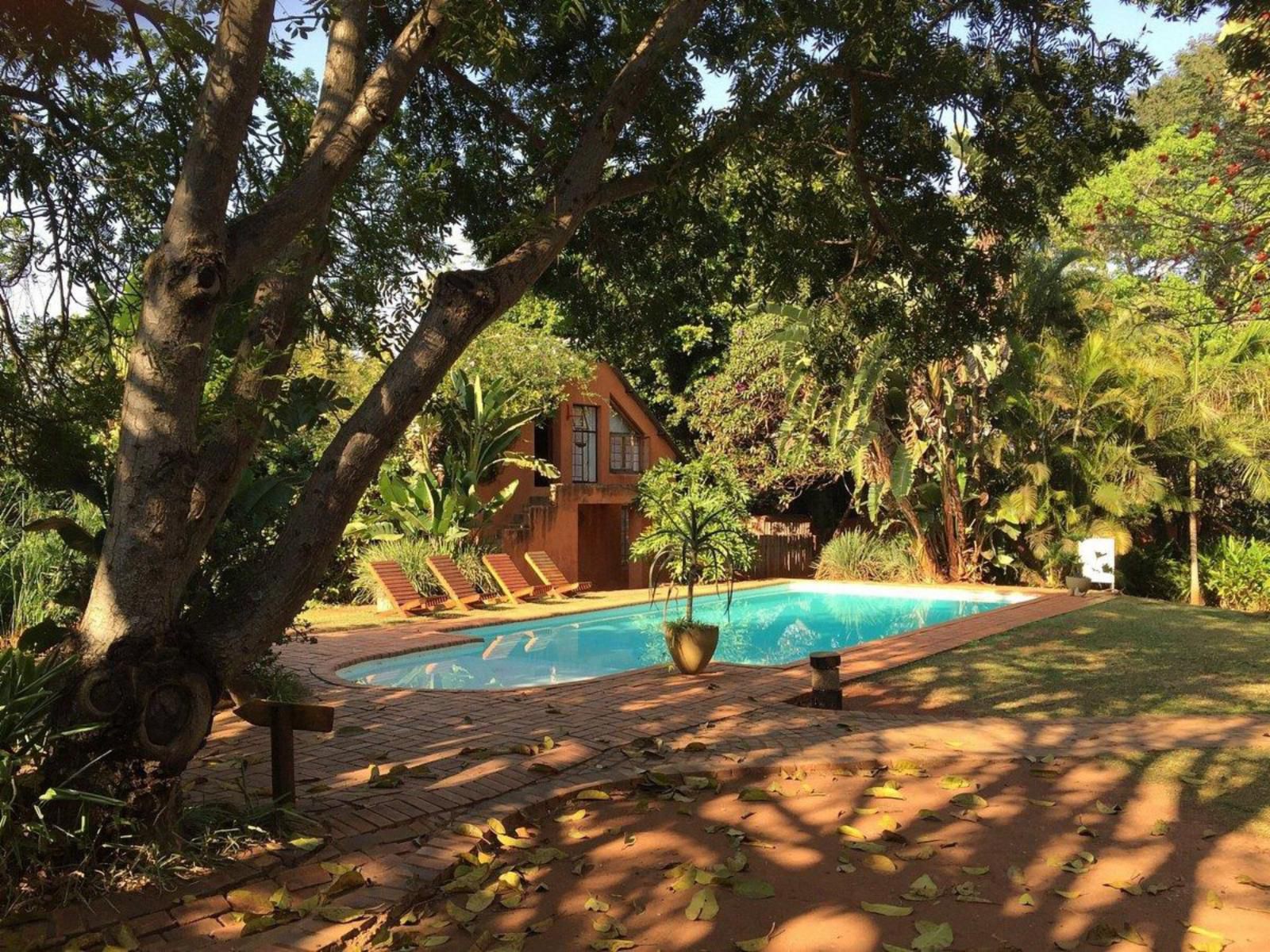 Malandela'S Guest House, Garden, Nature, Plant, Swimming Pool