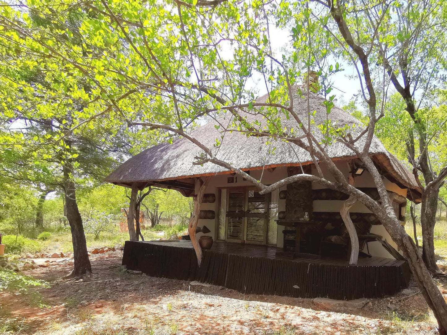 Mali Mali Safari Lodge Hoedspruit Limpopo Province South Africa 