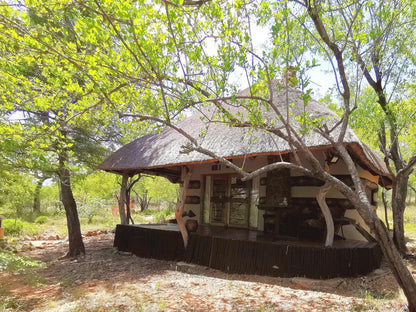 Mali Mali Safari Lodge Hoedspruit Limpopo Province South Africa 