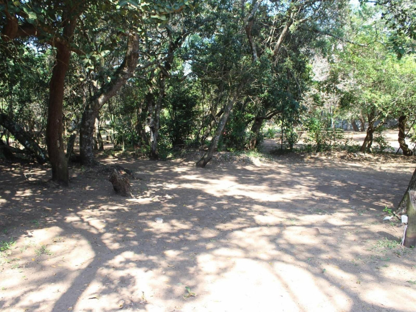 Malongane Beach Resort, Camp Site CS19, Forest, Nature, Plant, Tree, Wood