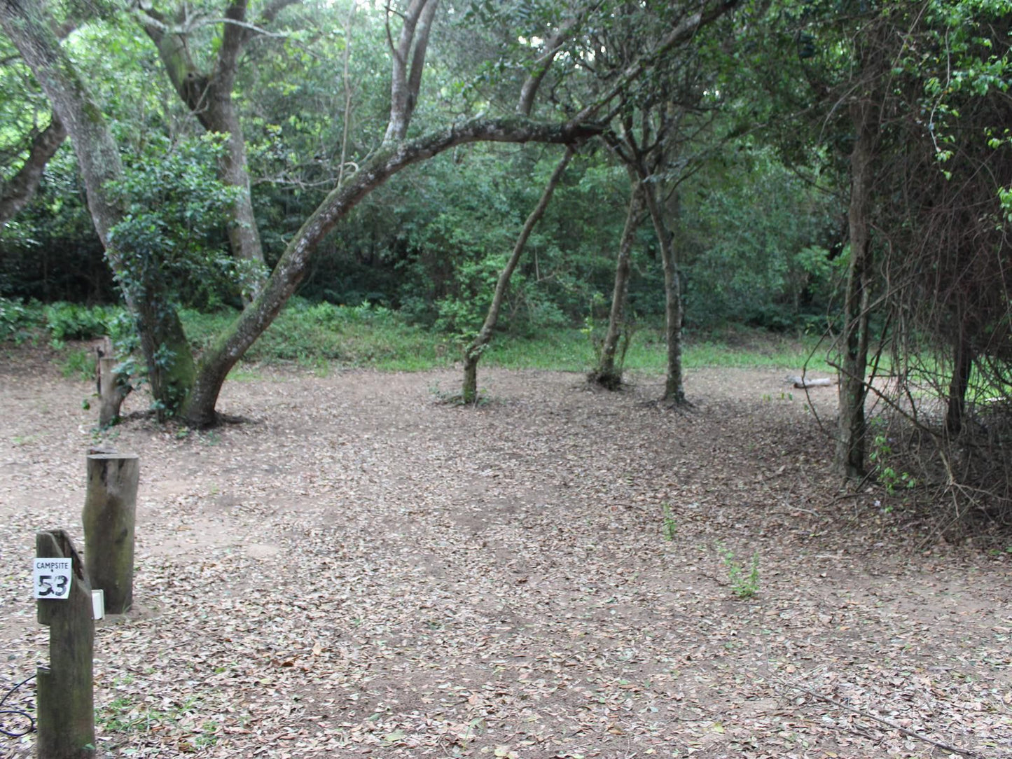 Malongane Beach Resort, Camp Site CS28, Forest, Nature, Plant, Tree, Wood