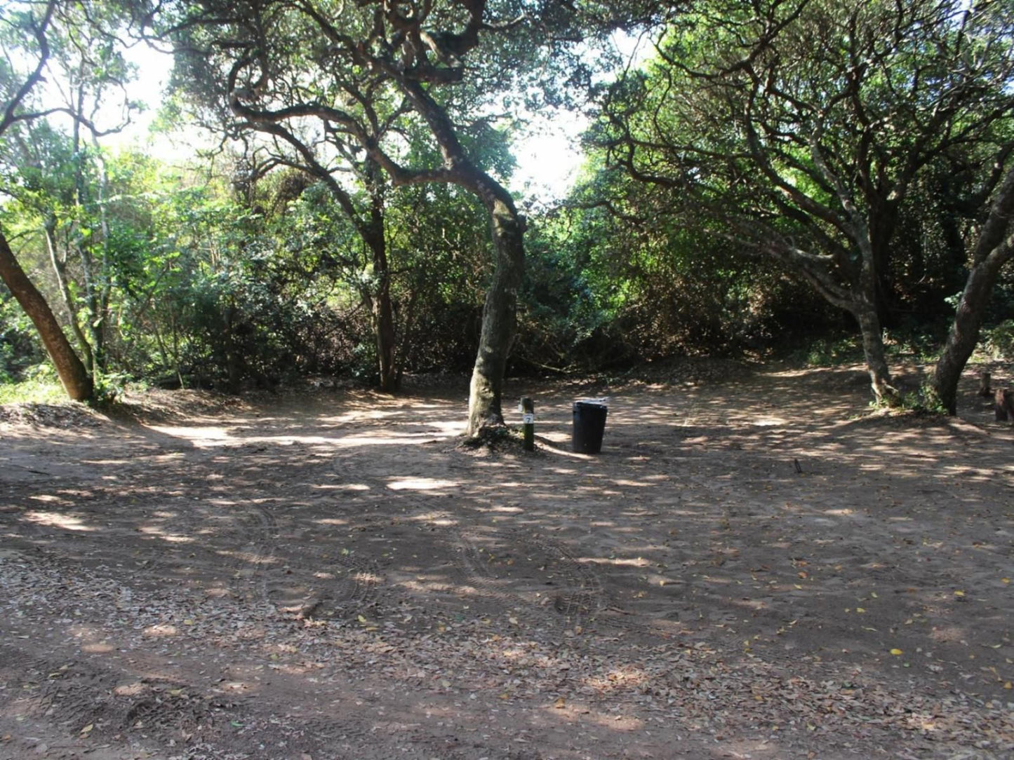 Malongane Beach Resort, Camp Site CS7, Forest, Nature, Plant, Tree, Wood